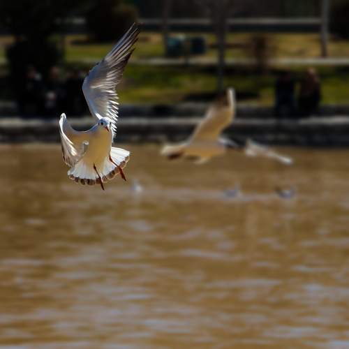 Photo #13691079