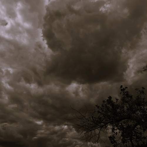 Photo #13691089
