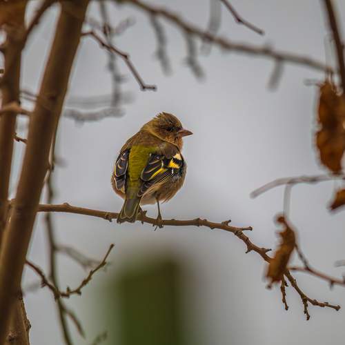 Photo #13691097