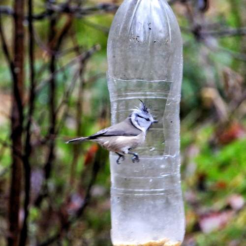Photo #13691123