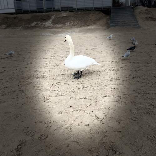 Photo #13691144