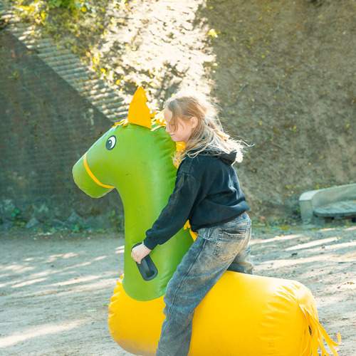 Photo #13691197