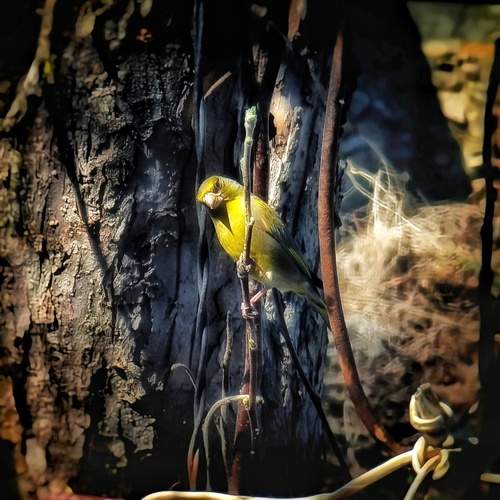 Photo #13691221