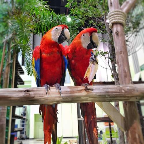 Photo #13691273