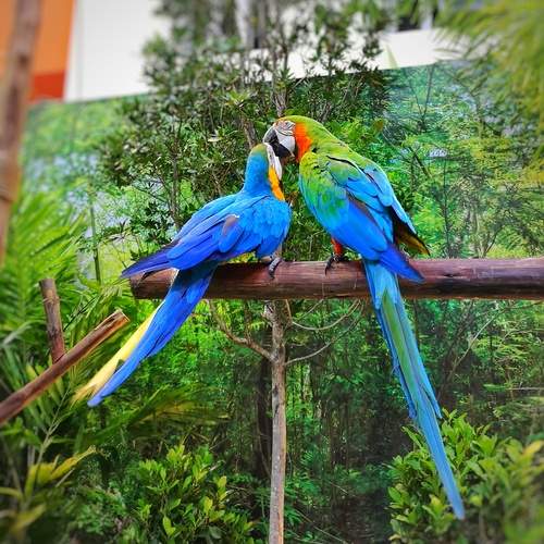 Photo #13691274