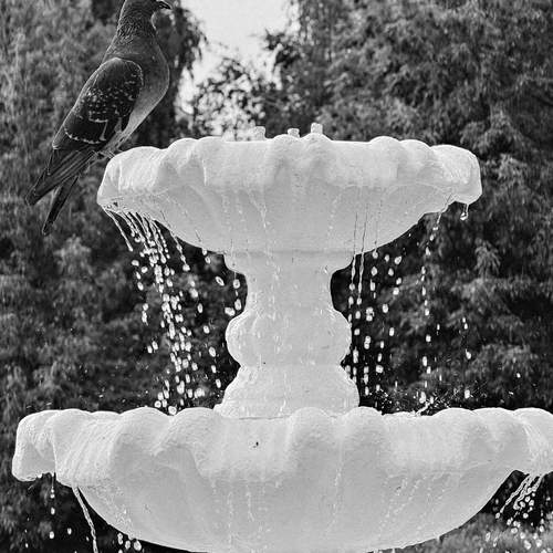 Photo #13691301