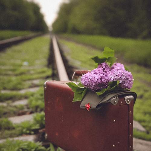 Photo #13691403