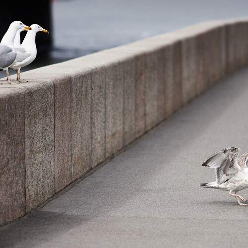 Photo #13691409