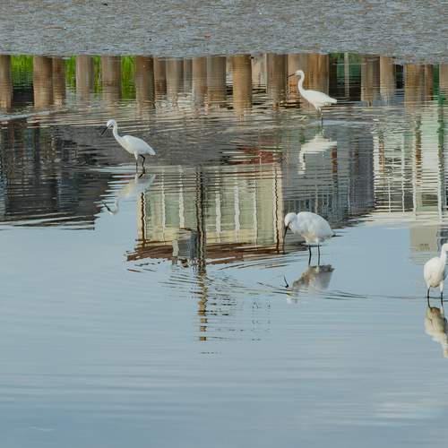 Photo #13691414