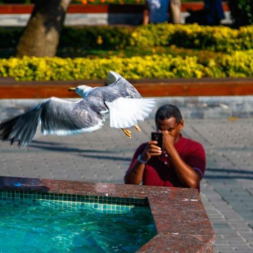 Photo #13691418