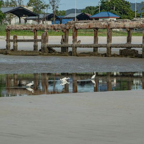 Photo #13691427