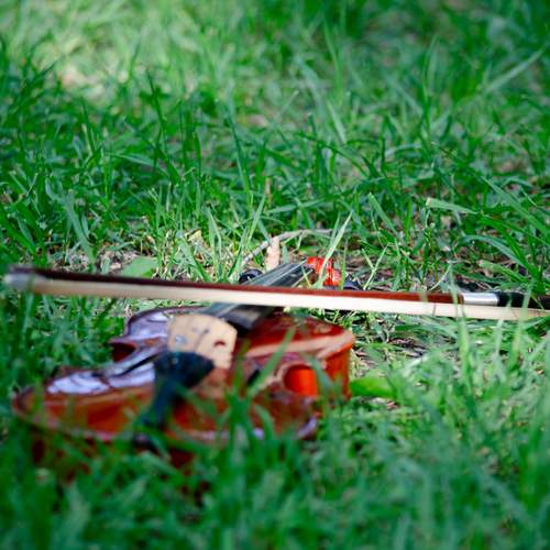 Photo #13691446