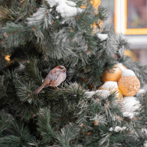 Photo #13691554