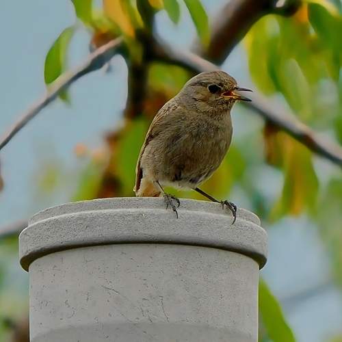 Photo #13691603