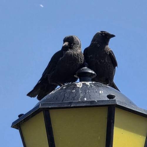 Photo #13691615