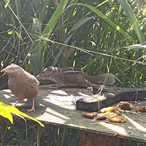 Photo #13691639