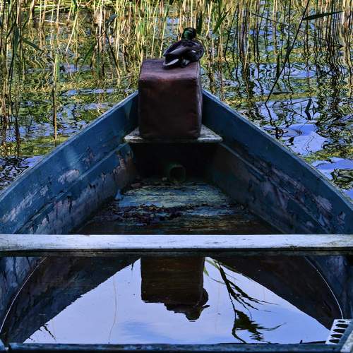 Photo #13691704