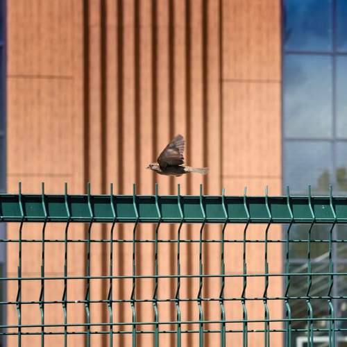 Photo #13691762