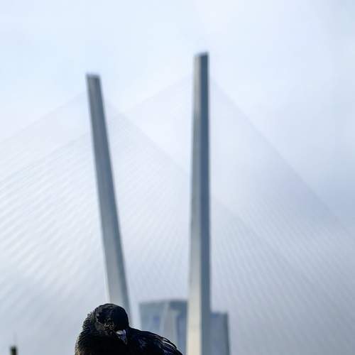 Photo #13691772