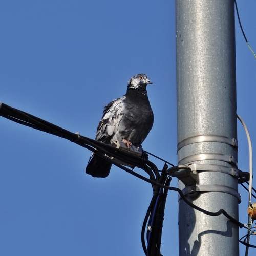 Photo #13691799