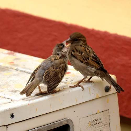 Photo #13691863