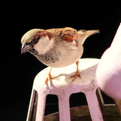Photo #13691866