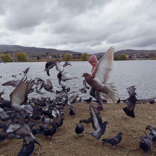 Photo #13691920