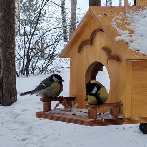 Photo #13691926