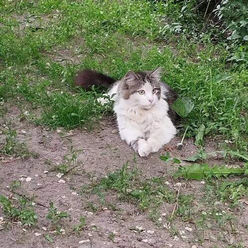 Photo #13691939