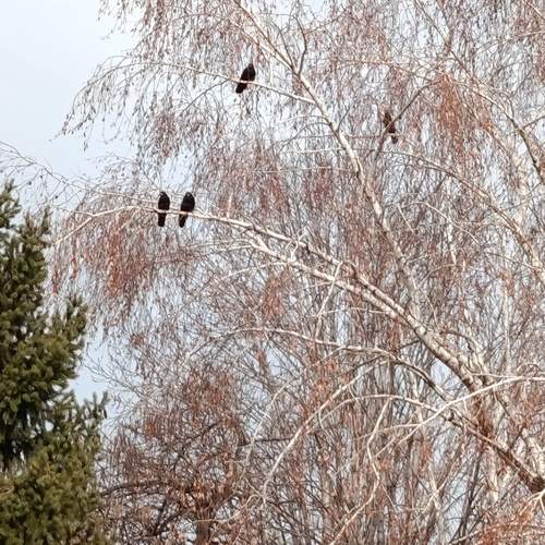 Photo #13691957