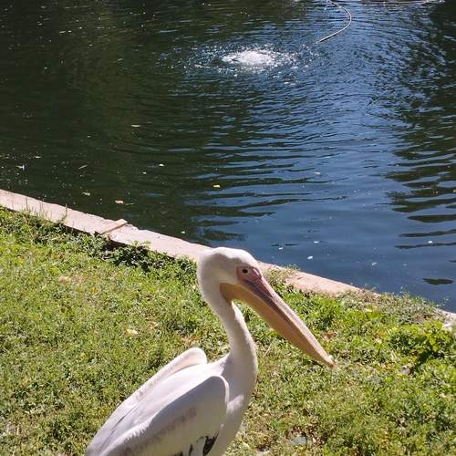 Photo #13691958