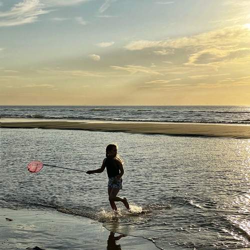 Photo #13691970