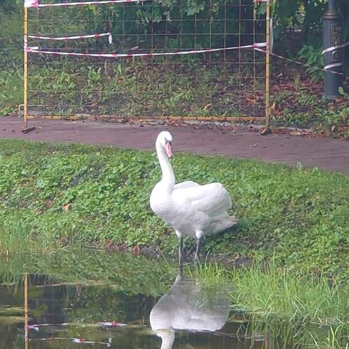 Photo #13692007