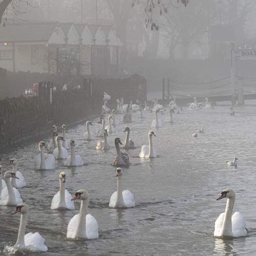 Photo #13692085