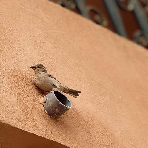 Photo #13692108