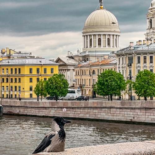 Photo #13692118