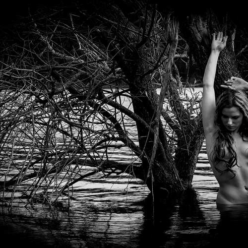 Photo #13692129