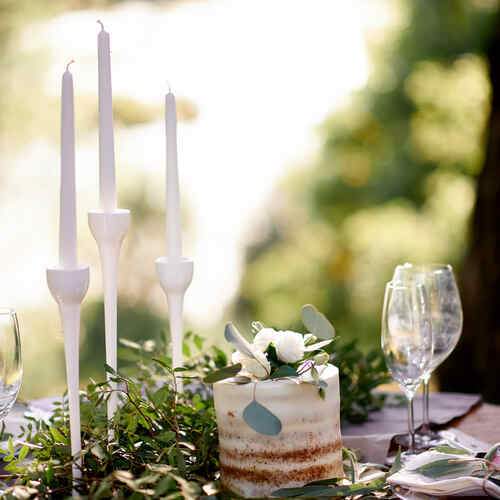 Photo #13692166