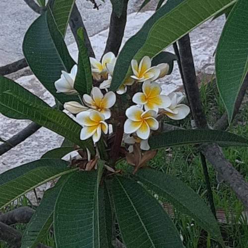 Photo #13692181