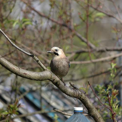 Photo #13692201