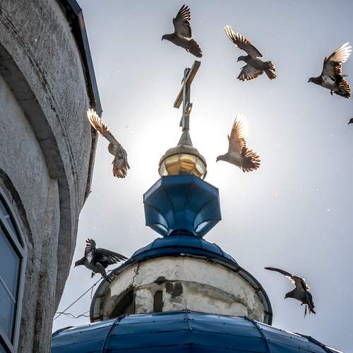 Photo #13692218