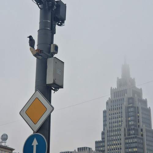 Photo #13692278