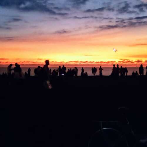 Twilight Witnesses
