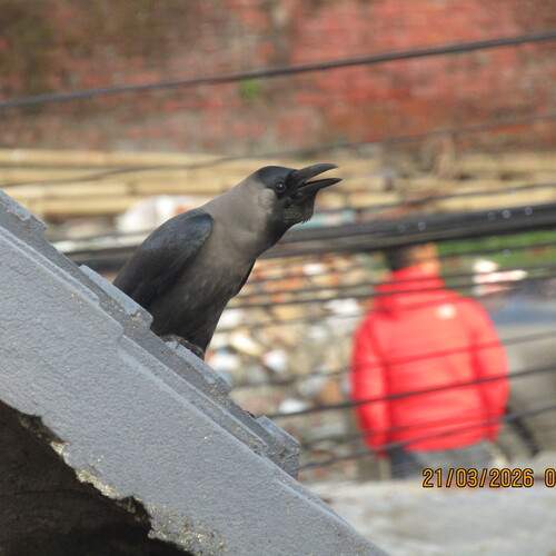 Photo #13692362