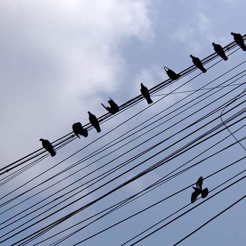 Photo #13692379