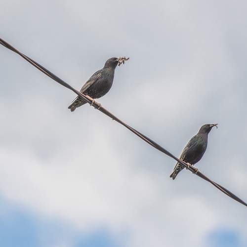 Photo #13692381