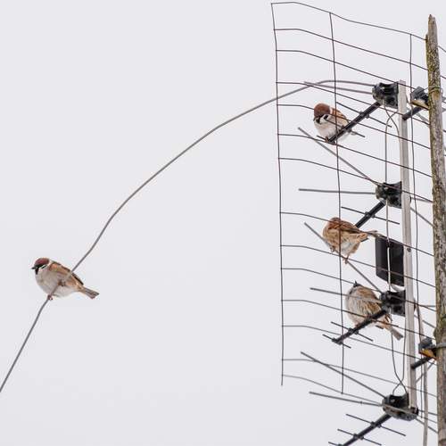 Photo #13692382