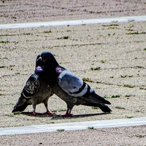 Photo #13692390