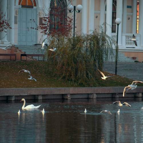 Photo #13692395