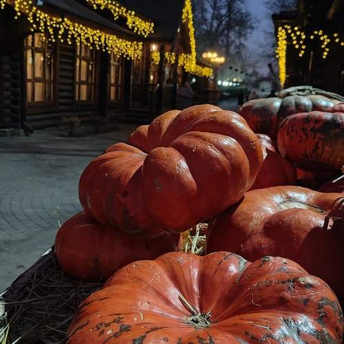 Photo #13692404